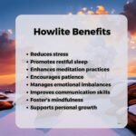 Howlite Bracelets 8MM