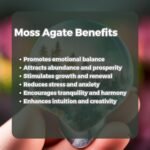 Moss Agate Bracelets 8MM