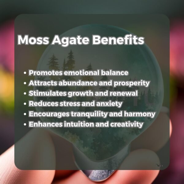 Moss Agate Bracelets 8MM