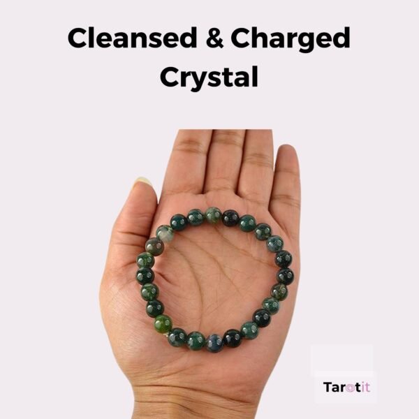 Moss Agate Bracelets 8MM