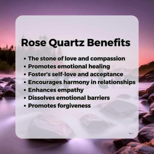 Rose Quartz Bracelets 8MM